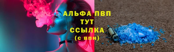 apvp Гусев