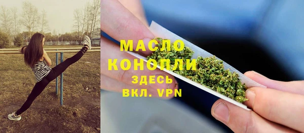 apvp Гусев