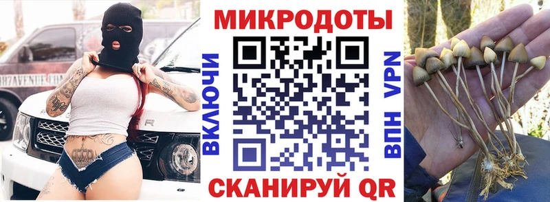 Псилоцибиновые грибы GOLDEN TEACHER  mega онион  Долгопрудный 